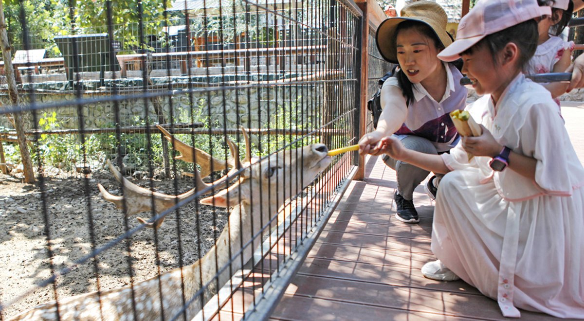 山西臨汾：動(dòng)物園暑假游火熱升溫